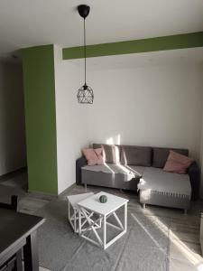 A seating area at Apartman Petreš