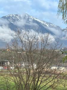 a snow covered mountain in the distance with a tree at Chaleureux T4,résidence avec caméra et digicode ,possibilité location voiture Mercedes gla garage , Netflix, climatisation, petit déjeuner ,repas du soir fondue, raclette , barbecue sur demande in Albertville
