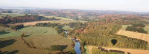 Příroda nedaleko bed and breakfast