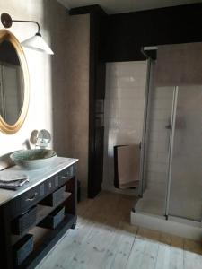 a bathroom with a sink and a shower at Ils en ont rêvé in Chambon-le-Château