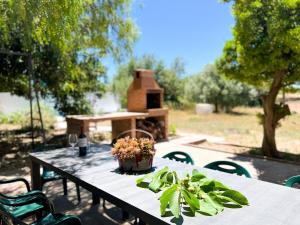 a picnic table with a bird house and a bottle of wine at La Noguera by Unik Vacation in Valls +72 photos