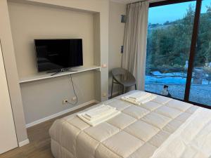 una camera da letto con un letto, una TV e una finestra di Poderi S Luca ad Alba