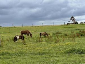 Fotografie z fotogalerie ubytování L'allee des charmes v destinaci Aire-sur-lʼAdour