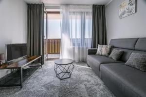 a living room with a couch and a television at Apartment 210 Vila Aston in Veľká Lomnica