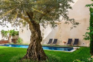 a tree in a yard next to a swimming pool at Villa Troletti, hôtel particulier de luxe en Provence in L'Isle-sur-la-Sorgue