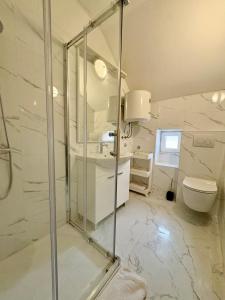 ein weißes Badezimmer mit Dusche und Toilette in der Unterkunft Apartment Ivona in Dubrovnik + 7 Fotos
