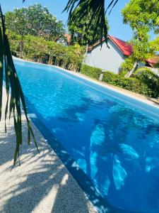 Bazen v nastanitvi oz. blizu nastanitve The Hip Resort @ Phi Phi