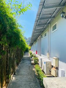 Vrt pred nastanitvijo The Hip Resort @ Phi Phi