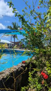 Bazén v ubytování Pachamama Bay Club nebo v jeho okolí