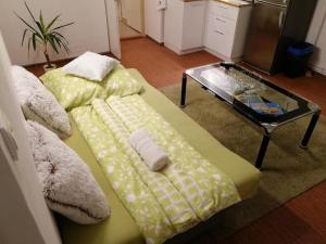 a green couch and a coffee table in a living room at Ateliér sklep in Uherské Hradiště