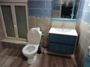 a bathroom with a toilet and a sink at Maison de bourg entre Nantes et Cholet in Saint-Crespin-sur-Moine