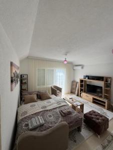 a bedroom with a bed and a living room at Apartment Mountain Paradise Plav in Plav