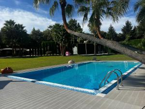 a swimming pool with a palm tree next to it at Quinta Das Palmeiras in Valpedre