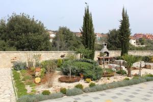 un jardín con varias plantas y una pared de piedra en Villa Mirko, en Barbariga