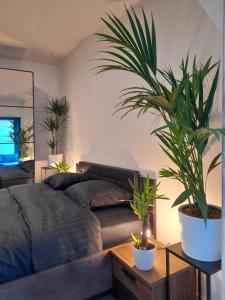 a bedroom with a bed and a potted plant at Suite de luxe avec Spa in Saint-Médard-en-Jalles