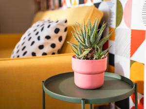 Φωτογραφία από το άλμπουμ του Chirù-Guest House σε Giba