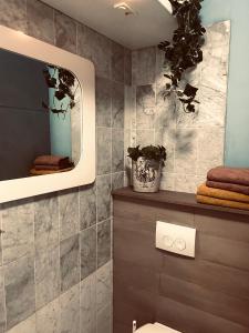 a bathroom with a toilet and a mirror at Slapen bij Café de Concurrent in Vlissingen