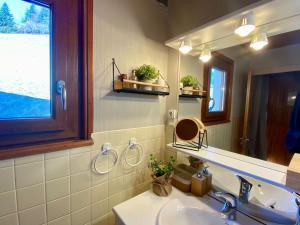 a bathroom with a sink and a mirror at Le Mazot du Genévrier - Au coeur des Aravis in Les Clefs