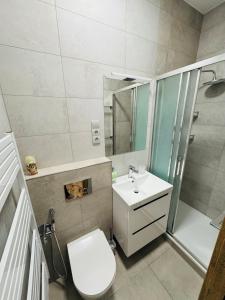 a bathroom with a toilet and a sink and a shower at Apartment with Workspace and TV in Nový Lískovec
