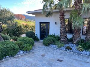a house with a palm tree and a walkway at Superbe villa golfe st Tropez in Sainte-Maxime