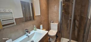 un bagno con wc, lavandino e doccia di Maison Quenza Corse-du-Sud a Quenza Altre 28 foto