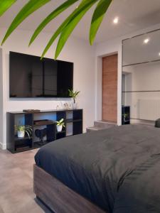 a bedroom with a large bed and a flat screen tv at Suite de luxe avec Spa in Saint-Médard-en-Jalles