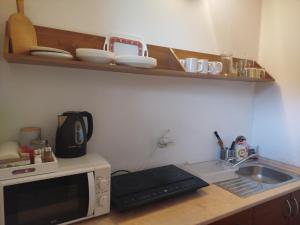 Kuchyň nebo kuchyňský kout v ubytování Guest House Kovalik