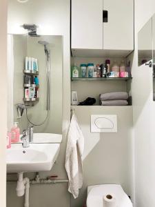 un bagno con lavandino e WC di Du vil elske å bo her! Et lite, men koselig sted med perfekt beliggenhet! a Trondheim Altre 39 foto