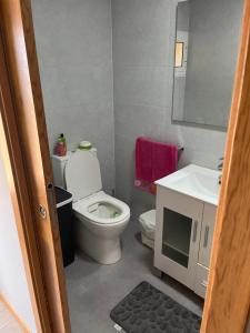 a small bathroom with a toilet and a sink at A Casiña in Caldas de Reis +12 photos