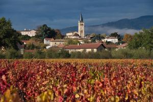a town with a field of flowers and a church at Moulin à Vent Studio Cosy in Lancié