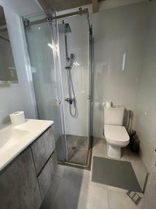 a bathroom with a shower and a toilet and a sink at Arachova Villa Paris in Kalívia +5 photos
