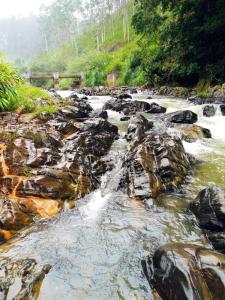 Foto dalla galleria di Ellagama Village Bungalow a Diyatalawa