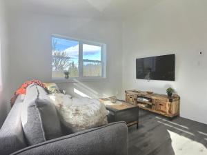 a living room with a couch and a flat screen tv at Domaine du Sous-Bois - près du Mont-Blanc in Mont-Blanc
