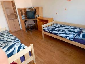 Posteľ alebo postele v izbe v ubytovaní Apartment Pražská