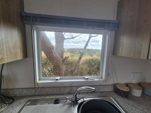 a window above a kitchen sink with a tree at Cosy Perranporth caravan, Cornwall in Perranzabuloe +20 photos
