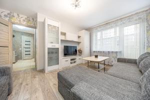 a living room with a couch and a tv and a table at Svencelės butas in Svencelė