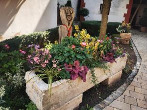 Zahrada ubytování RefuKium alte Kutscherei - Im Zentrum von Weißenburg