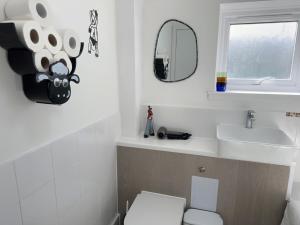エディンバラにあるStylish One Bedroom Apartmentのトイレ、洗面台、鏡のあるバスルーム +12枚の写真