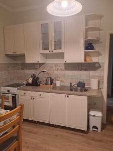 韦切什Lena apartment - Lena two bedroom apartment的带白色橱柜和水槽的厨房