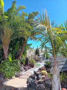 a garden with palm trees and a stone pathway at Renllon in Lomo de Arico