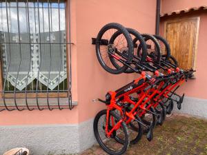 Jízda na kole v ubytování Agriturismo Podere Gozzuto nebo okolí