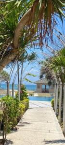 a palm tree lined walkway next to a beach at Bungalows in Sekongkang