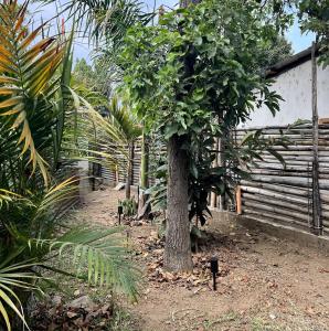 Κήπος έξω από το Sol Vista- Cute & Spacious 2Br with Lake Views