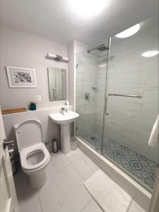 Un baño con ducha, inodoro y lavabo. en 8 Banyan Court, en Bridgetown