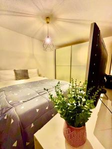 TV a/nebo společenská místnost v ubytování sweet dreams