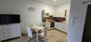 Kuchyň nebo kuchyňský kout v ubytování Znojmo apartmány