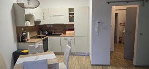 Kuchyň nebo kuchyňský kout v ubytování Znojmo apartmány