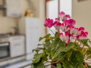 Fotografie z fotogalerie ubytování Il Cantuccio v destinaci Lecce