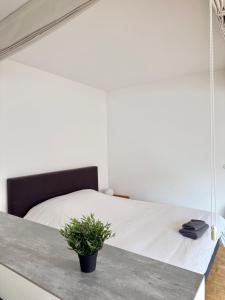 ジュヌヴィリエにあるChic Modern Studio Steps from Luxembourg Gardens Henri Barbusseのベッドと鉢植えのある寝室