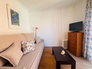 ein Wohnzimmer mit Sofa und Fernseher in der Unterkunft Casa Ana in O Grove